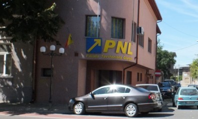 PNL-sedinta-comitet-executiv