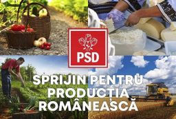 PSD-produse romanesti