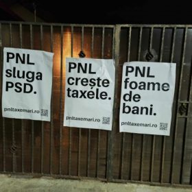 PNL cresteri taxe