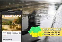 ISU cod galben