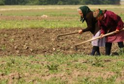agricultura