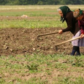 agricultura