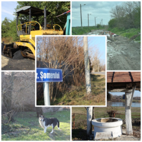 photo-collage