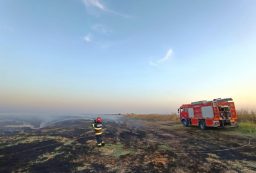 incendii vegetatie