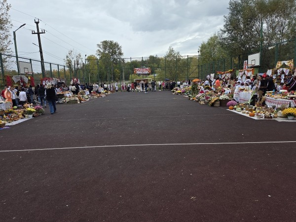 Festivalul Toamnei Stanesti- 1
