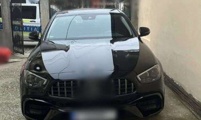 077c5d8c-628f-4e94-a3e9-b5bd9c810b00