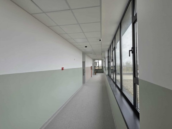 hol scoala Darasti Vlasca