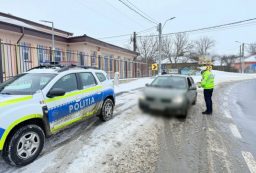 516ff9d3-dd41-4d2f-bb87-607fd0d6d881