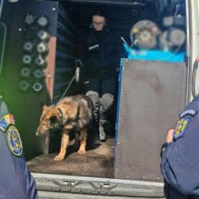 politia transporturi actiune 1