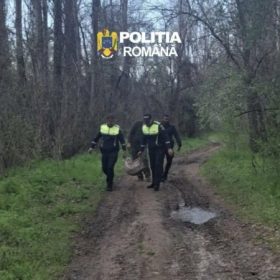 bb6ea132-8748-4a53-8d68-81f7027e7a39