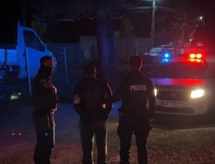 ordin de protectie politie