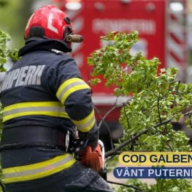 vant puternic
