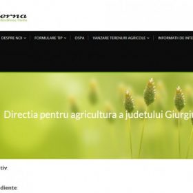 site daj -prima pagina
