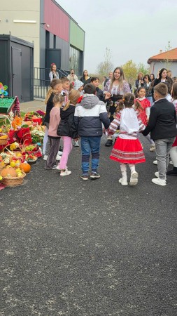 Festivalul toamnei Darasti- 3