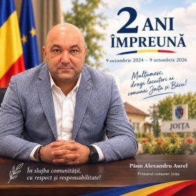 alexandru paun