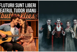 colaj Tudor Vianu 2
