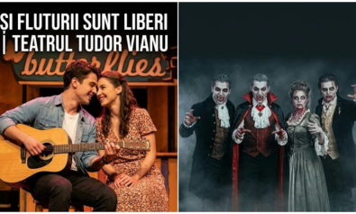 colaj Tudor Vianu 2