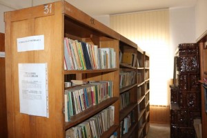 biblioteca-Letca (2)