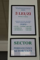 fofo (9)