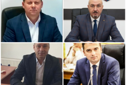 candidat PNL vicepresedinti