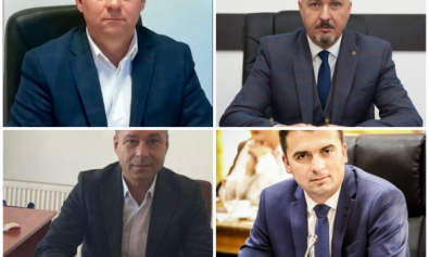 candidat PNL vicepresedinti