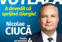 voteaza Ciuca