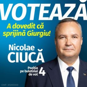 voteaza Ciuca