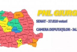 PNL rezultate vot