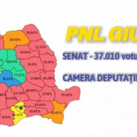 PNL rezultate vot