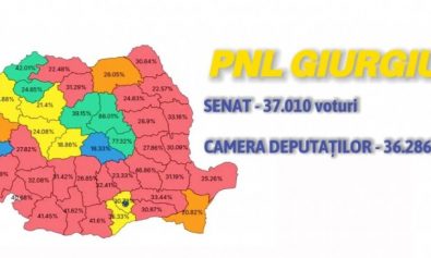 PNL rezultate vot