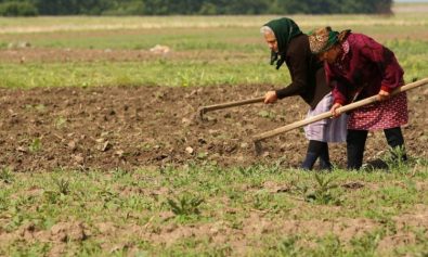 agricultura