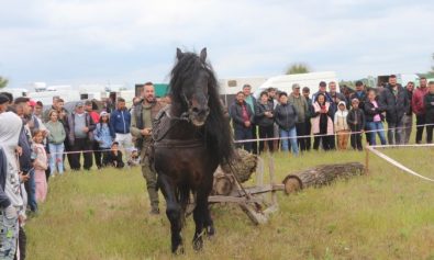 targ cai Izvoarele 1