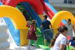 IMG_1238