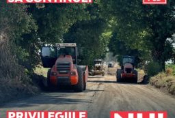 PSD investitii