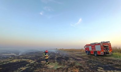 incendii vegetatie