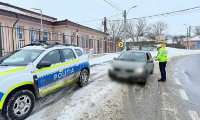 516ff9d3-dd41-4d2f-bb87-607fd0d6d881