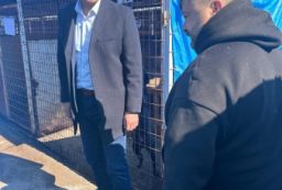 Ion Ghimpeteanu- adapost caini 1