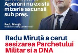 USR- Miruţă