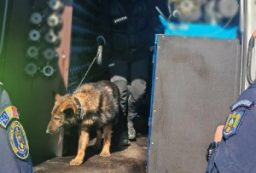 politia transporturi actiune 1