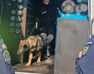 politia transporturi actiune 1