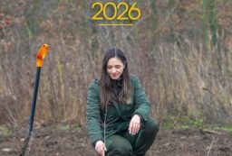 vizual-program-impaduriri