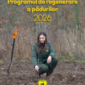 vizual-program-impaduriri