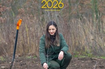 vizual-program-impaduriri