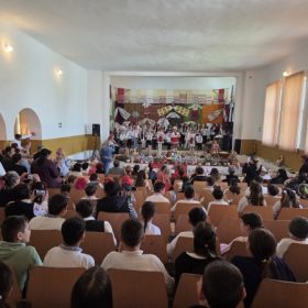 Stanesti- cadru general sala