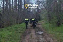 bb6ea132-8748-4a53-8d68-81f7027e7a39