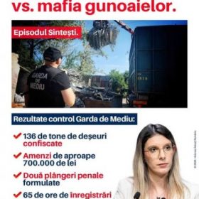 Diana Buzoianu