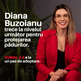 Diana Buzoianu