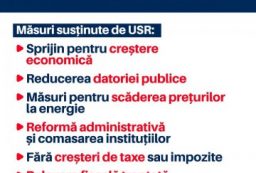 program de guvernare
