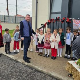 Festivalul toamnei Darasti- 2
