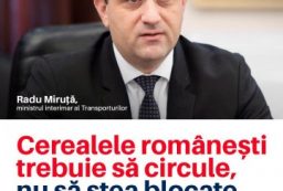 Radu Miriuta